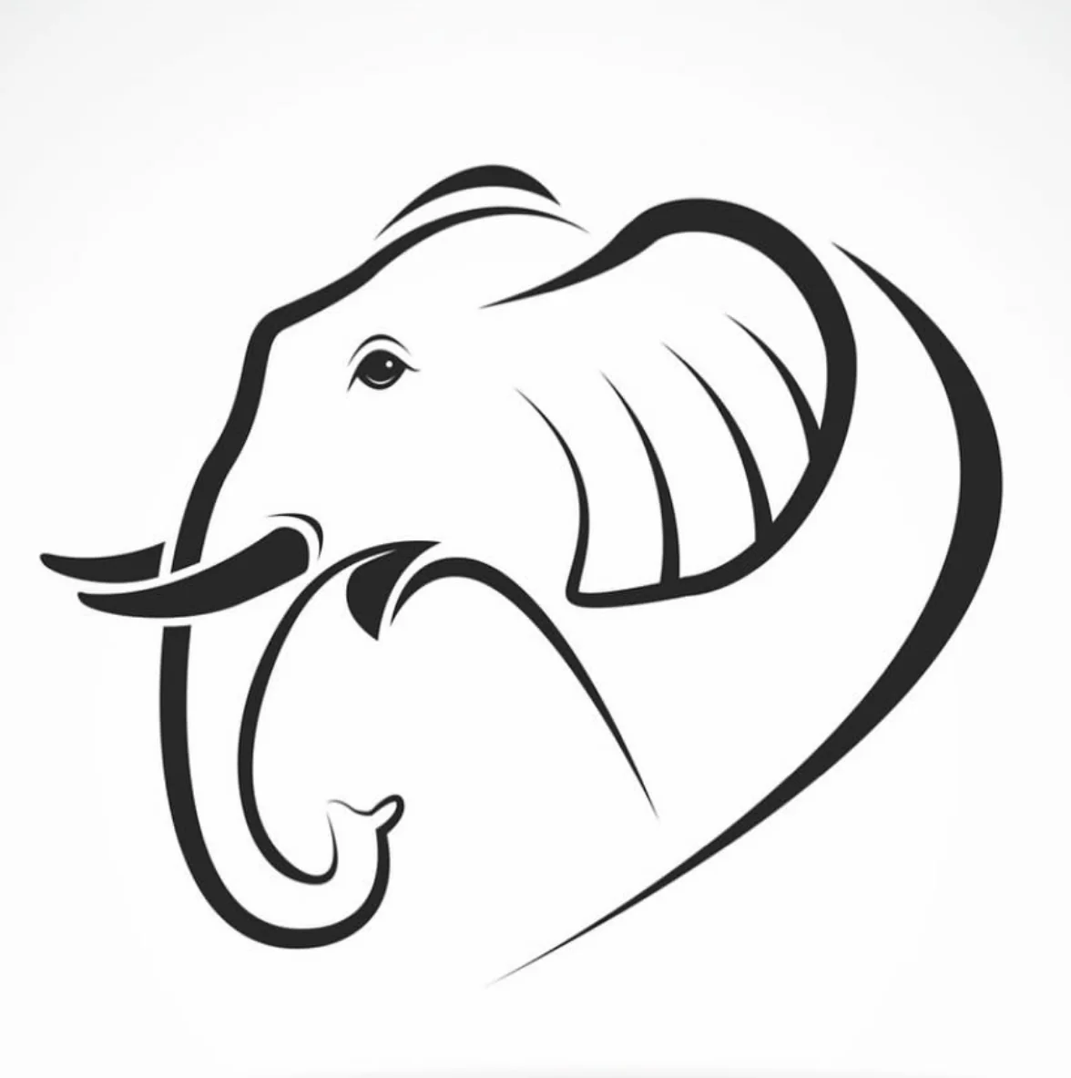 مدال نقره فیل ترسیم